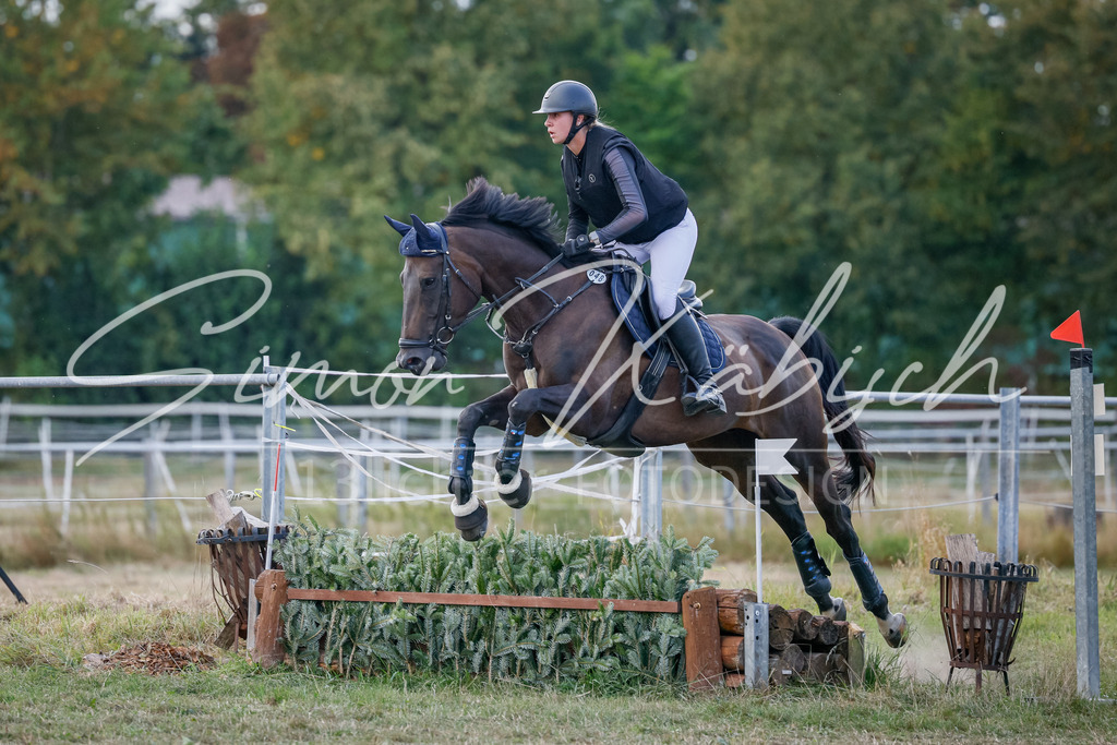 20250905-_3LI0428 | Tierfotografie Pferde, Hunde, Katzen, Haustiere.
Turnierfotografie Reitturniere, Reiten, Springreiten, Dressur in Hanau, dem Main-Kinzig-Kreis und dem Rhein-Main- Gebiet um Frankfurt
