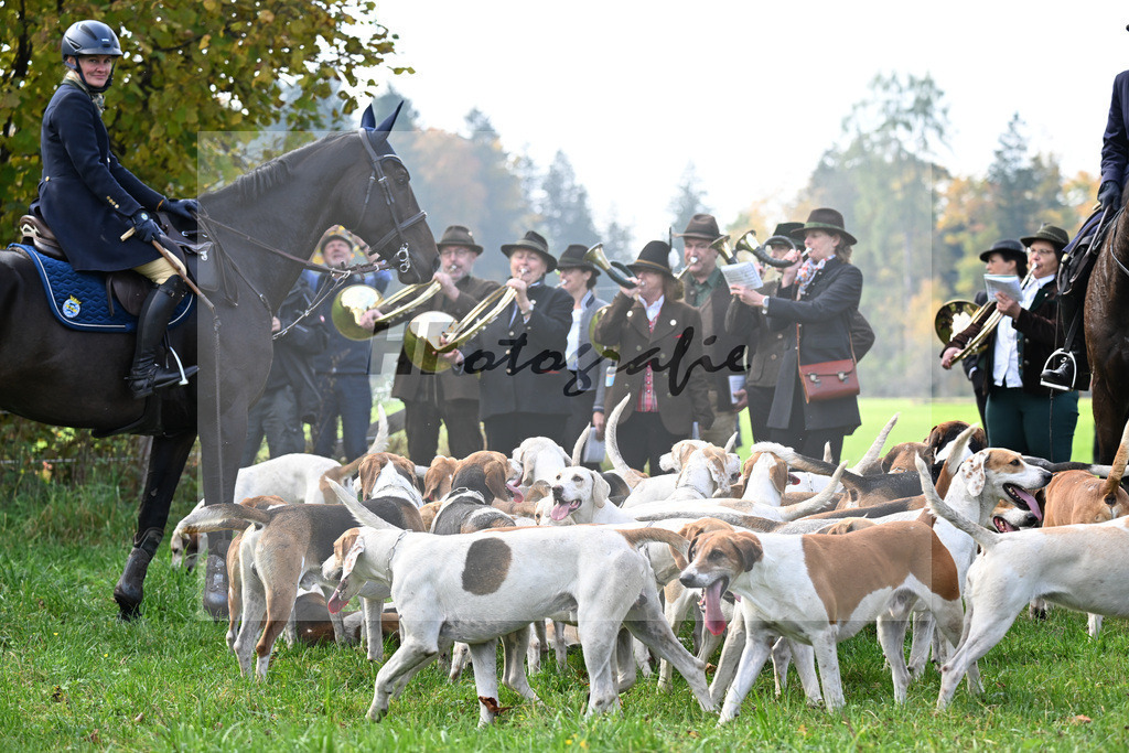 40250866 | hf-fotografie - Realisiert mit Pictrs.com