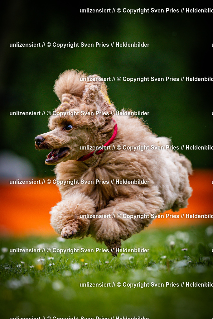 Sven Pries | 2025-05-29 - Pudelrennen KA-Durlach - Realisiert mit Pictrs.com