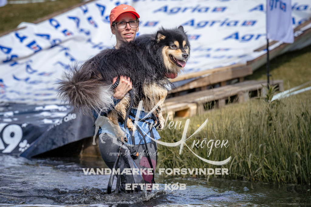 _ZZ908470908 | kk-dogfotos