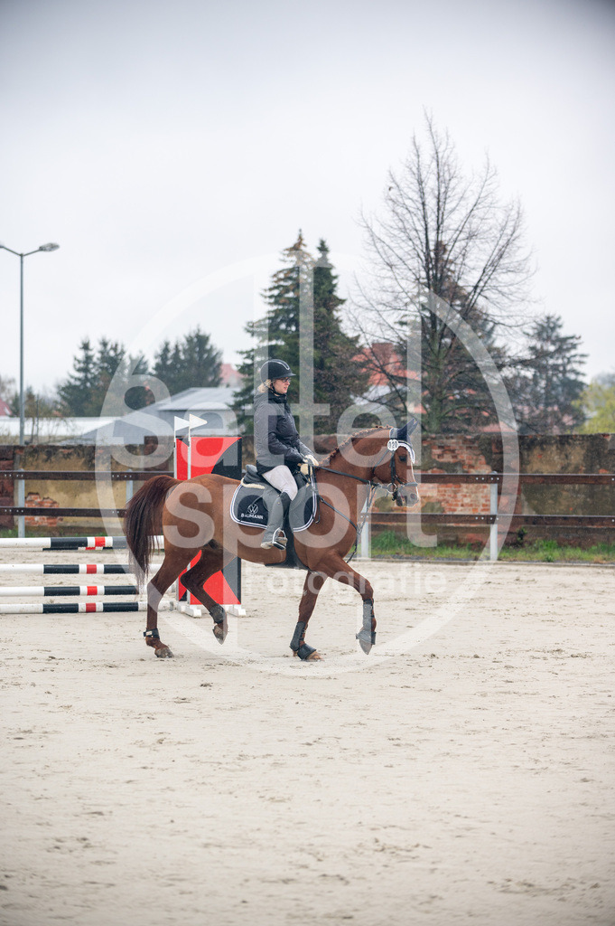 DSC_8214 | sattelsport - Realisiert mit Pictrs.com