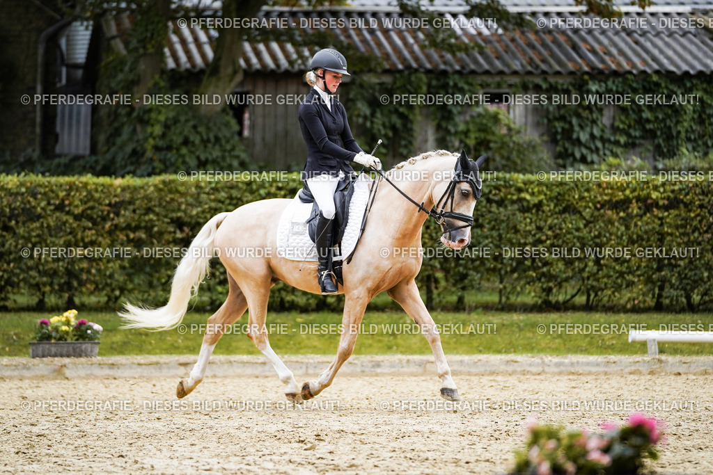 DSC02058 | Pferdegrafie