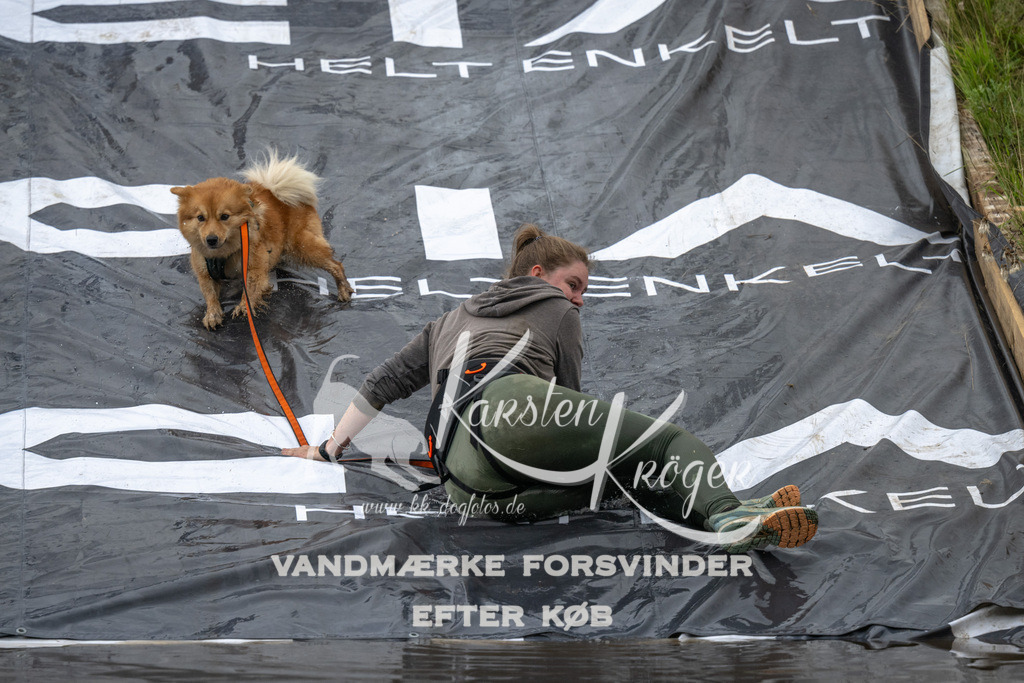 1613_ZZ92709 | kk-dogfotos