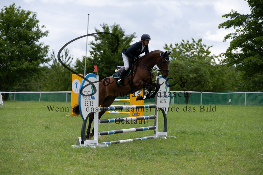 A7V04011 | Pferdefotograf