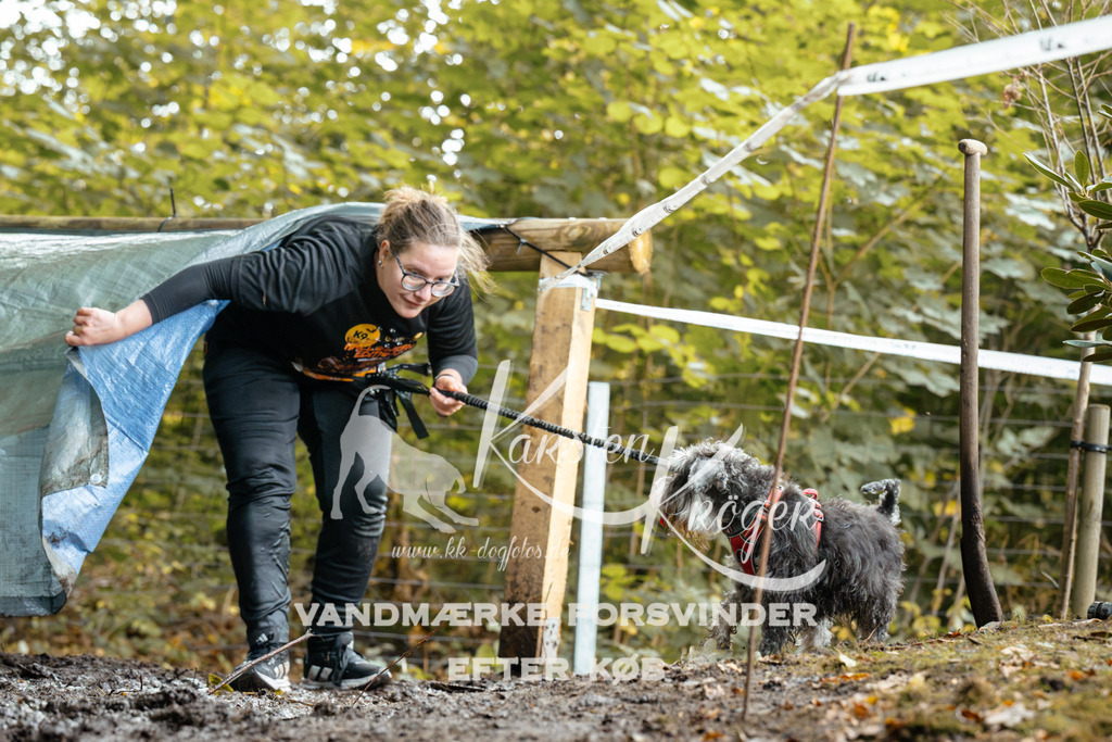 1435DZ6_3011Z6 | kk-dogfotos