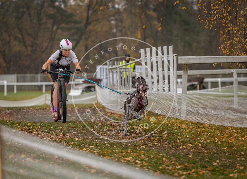 CaniXpix_DV3A7661 | Hundefotografie, Tierfotograf, Pfotenfotografie, Fotoshooting Hund, Hunde Portrait, Hundesport, Hundeportraits, Heideshooting, Hunde, Sportfotograf, Hundefotograf, Turnierhundsport, THS,  - Realisiert mit Pictrs.com