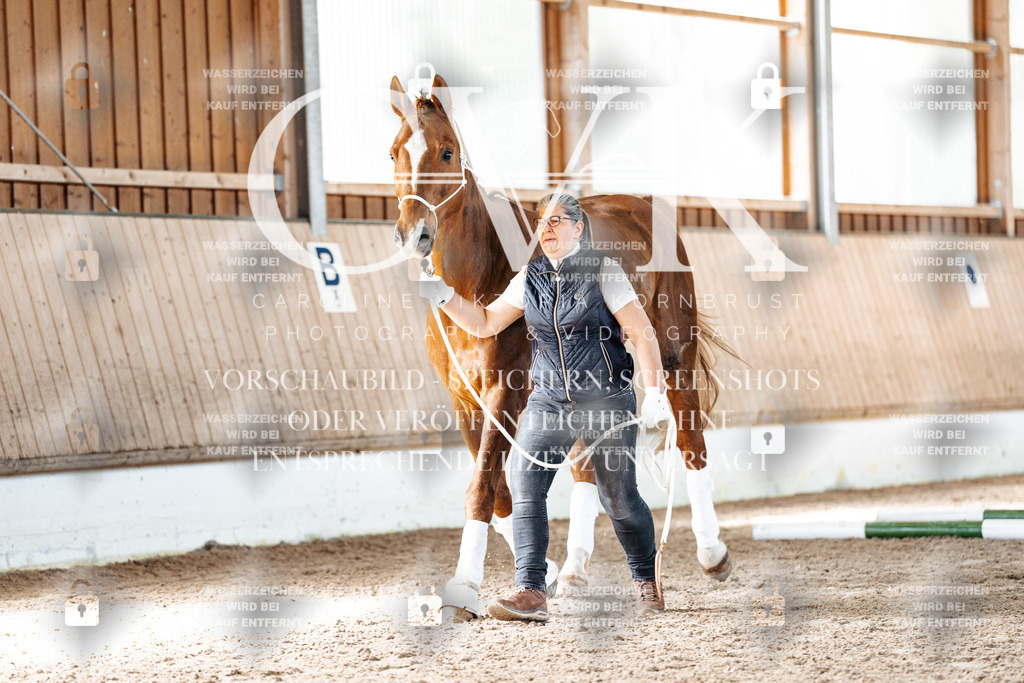 CK906140 | Turnierfotografie Pferdefotografie Trier Rheinland-Pfalz Pferdesport Reitsport Tierfotografie Sportfotografie Pferdevideo Pferdevideografie Equestrianvideography equestrianphotography  - Realisiert mit Pictrs.com