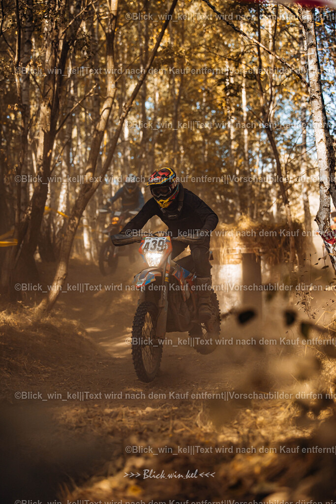 E68A6313 | blick_win_kel