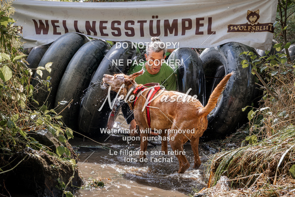 nelerasche_Hunsrück2026_Sa1400-1500_25 | nelerasche
