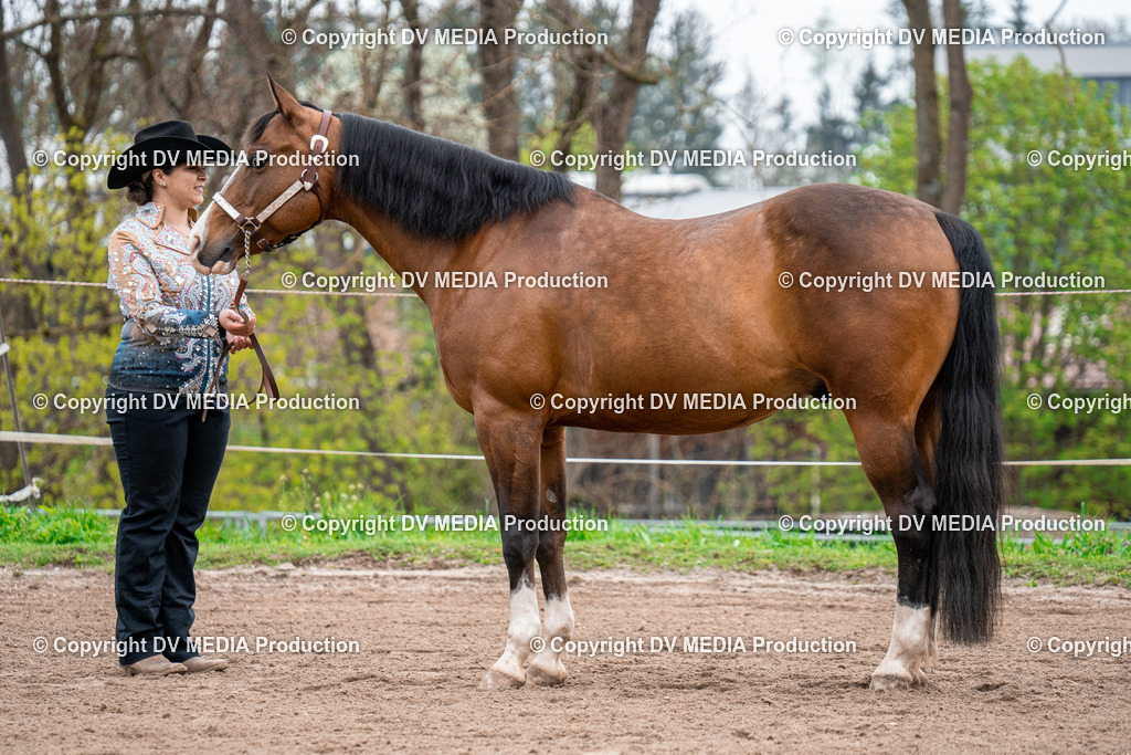 BA300154 | dv-media-shop - Realisiert mit Pictrs.com