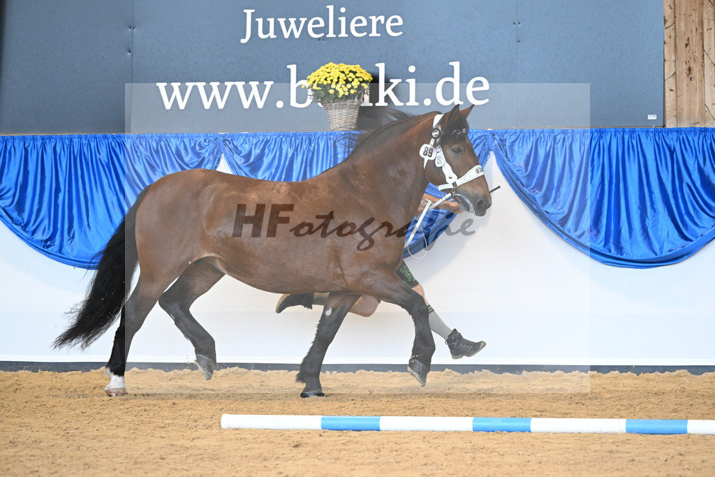 Kat-Nr. 89 Flora_Rasshofer_53220521 | hf-fotografie - Realizzato con Pictrs.com