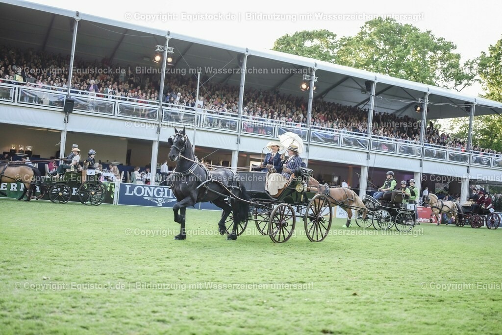20230526_Pferdenacht_0201 | equistock