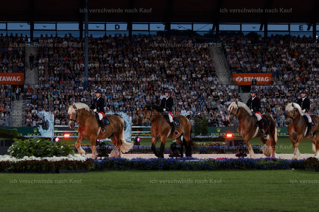 TSCHIO26_PferdundSinfonie_StoibphotographyTSCHIO26_Pferd-Sinfonie_Stoibphotography_AM11485.CR3.jpg | working equitationturnier fotograf videograf stoibphotography marixx film working equitation deutschland reitsport turnierfotografie eventfotografie equestrian events
