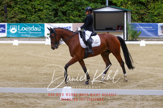 DKP40741 | Turniersportfotografie; Pferdefotografie; Dressurfotografie