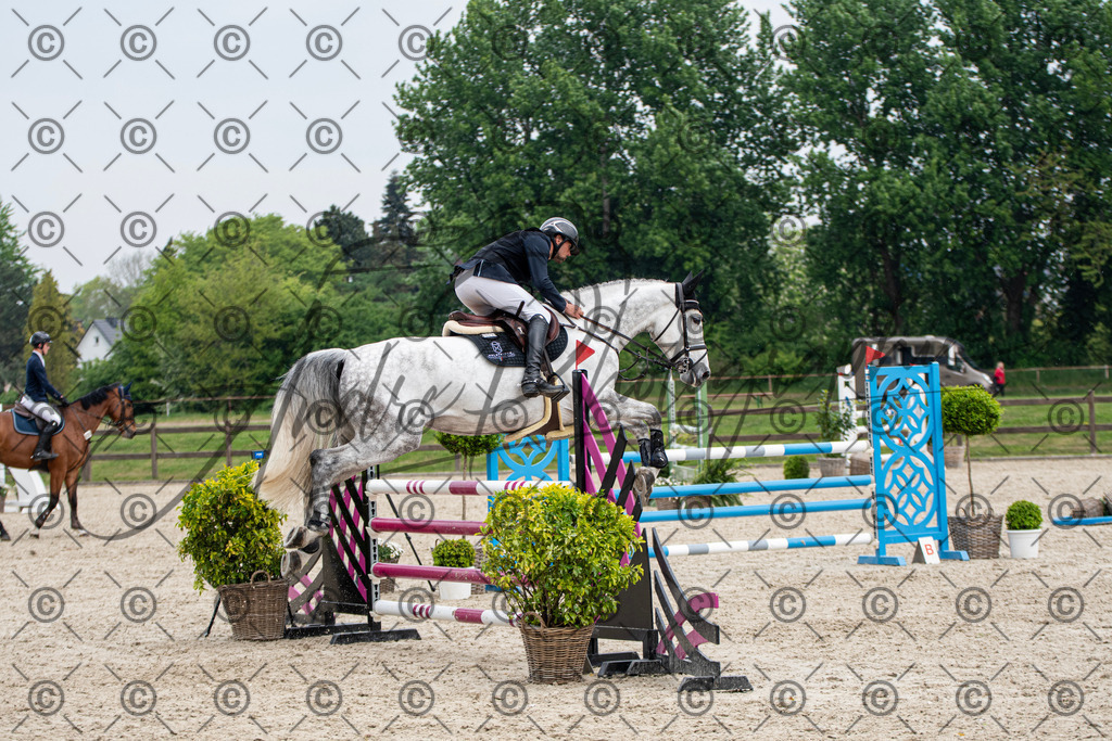 KPT_3712 | andre_photographic