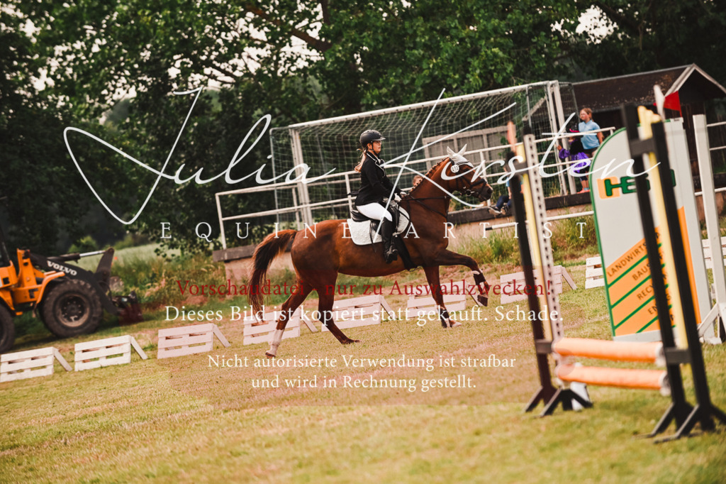 DSC_6872 | Pferde- und Turnierfotografie in Westsachsen. Pferdeportraits, Auftragszeichnungen und intuitive Kunst.