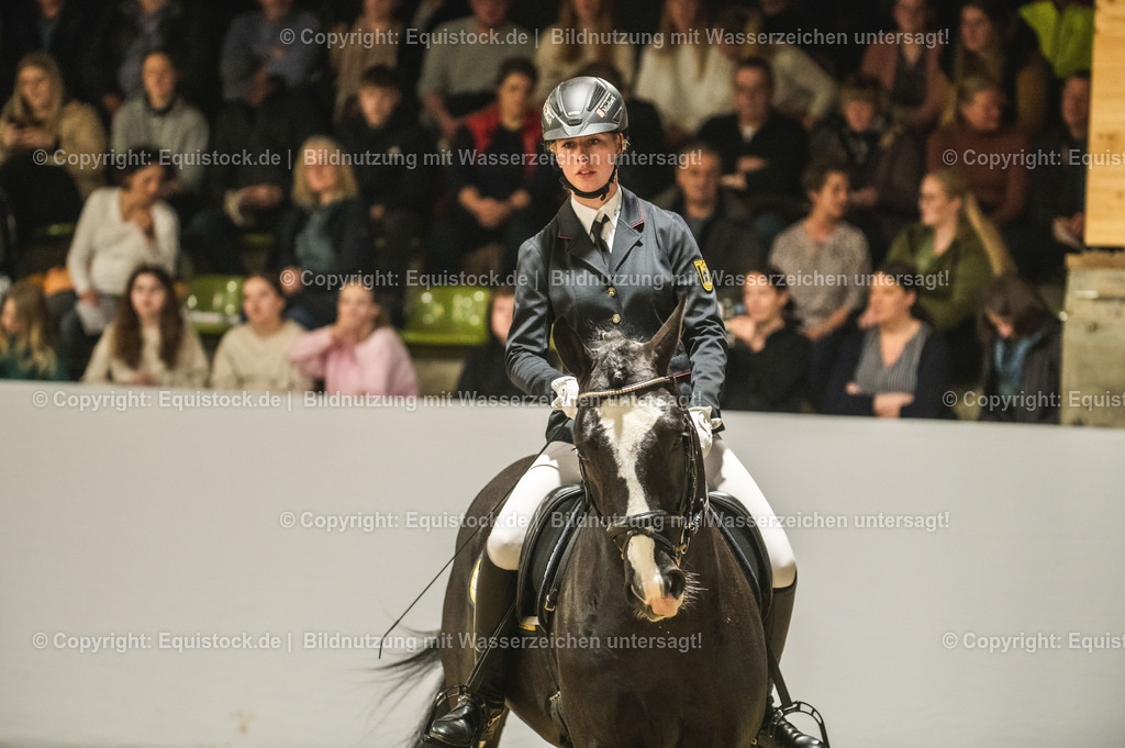 20240302_Hengstvorstellung_Marbach_TOMsPiC_0680 | equistock