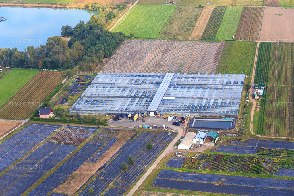 Vue aérienne: Serres d'Herrenwald à Brumath dans le département Bas Rhin, France.Photo: IMG_074172.jpg prise le 04/10/2014 par Werner Riehm/FLY-FOTO.euRésolution de l'original: 5472 x 3648 px