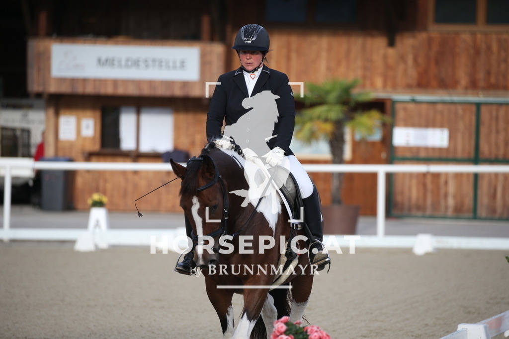 DL2Q1547 | Willkommen bei Brunnmayr - Design & Fotografie – Ihrem Spezialisten für Reitturniere und Pferdeveranstaltungen in Oberösterreich, Salzburg und Bayern! Seit über 17 Jahren sind wir leidenschaftlich dabei.