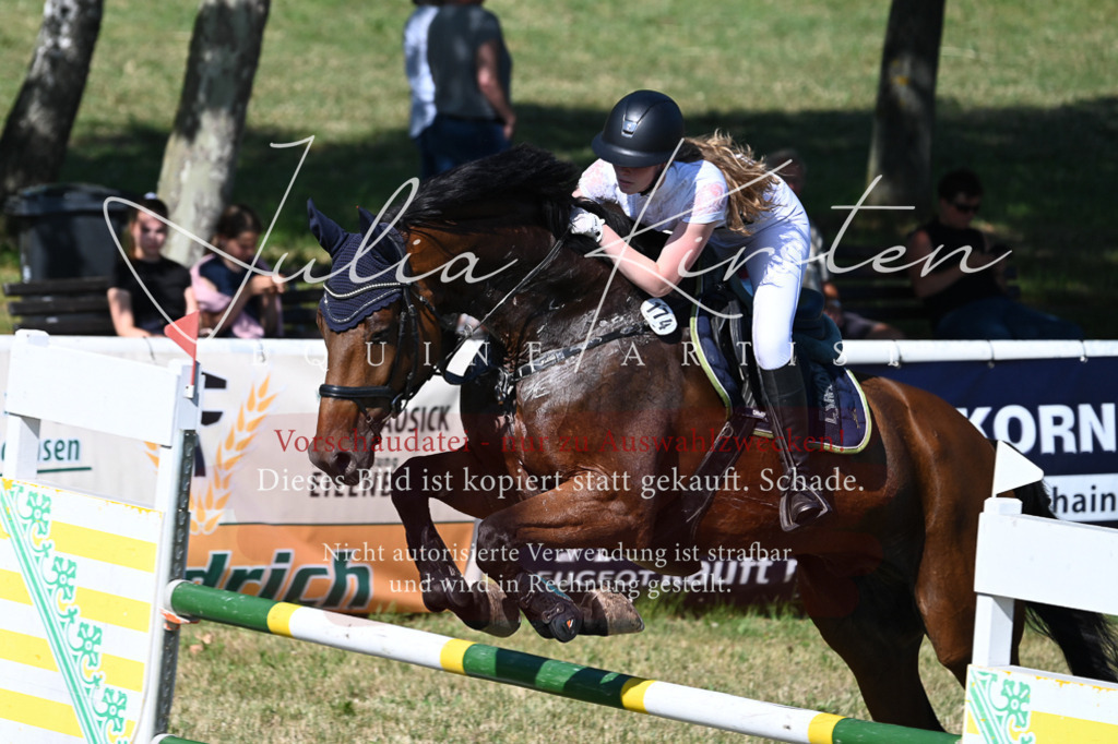 DSC_1907 | Pferde- und Turnierfotografie in Westsachsen. Pferdeportraits, Auftragszeichnungen und intuitive Kunst.