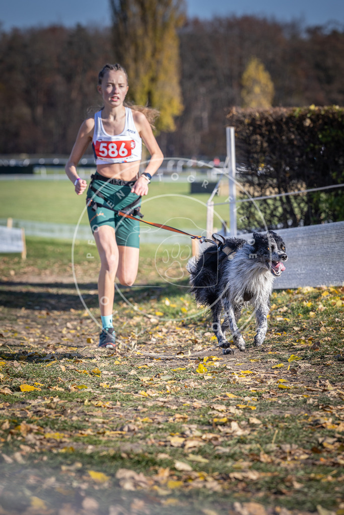 CaniXpix_DV3A9157 | Hundefotografie, Tierfotograf, Pfotenfotografie, Fotoshooting Hund, Hunde Portrait, Hundesport, Hundeportraits, Heideshooting, Hunde, Sportfotograf, Hundefotograf, Turnierhundsport, THS,  - Realisiert mit Pictrs.com