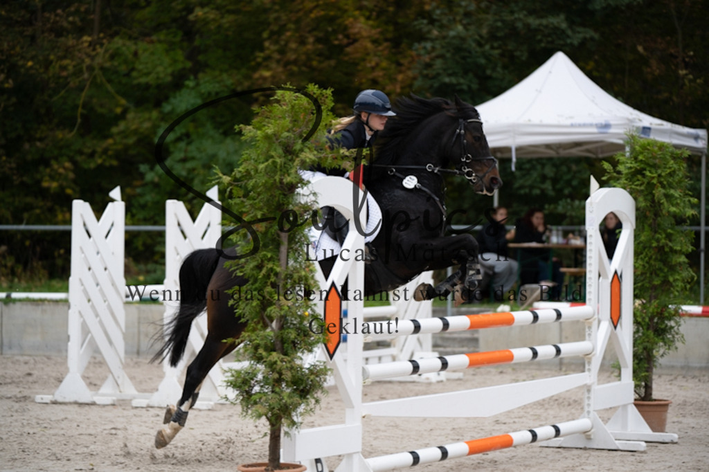 A7V00040 | Turnier/Reitfotograf