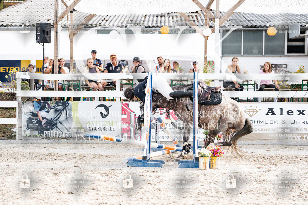 CK907029 | Turnierfotografie Pferdefotografie Trier Rheinland-Pfalz Pferdesport Reitsport Tierfotografie Sportfotografie Pferdevideo Pferdevideografie Equestrianvideography equestrianphotography  - Realisiert mit Pictrs.com