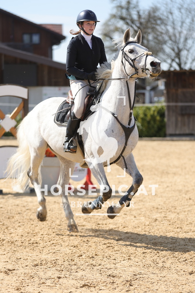 0P6A1601 | Willkommen bei Brunnmayr - Design & Fotografie – Ihrem Spezialisten für Reitturniere und Pferdeveranstaltungen in Oberösterreich, Salzburg und Bayern! Seit über 17 Jahren sind wir leidenschaftlich dabei.