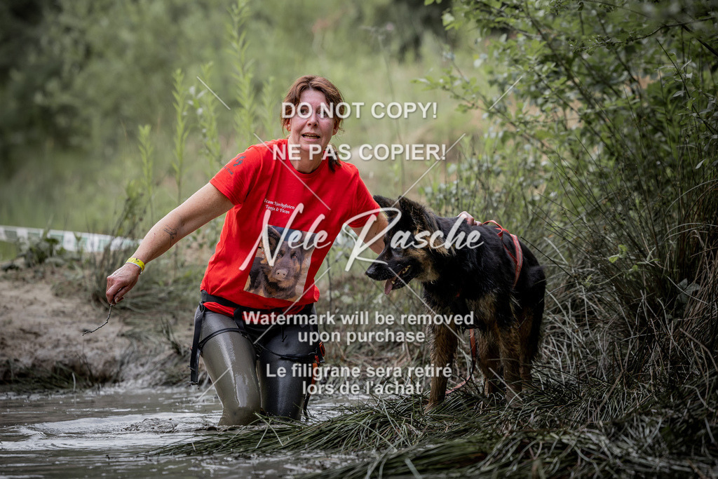 nelerasche_so0800-0930_323 | nelerasche