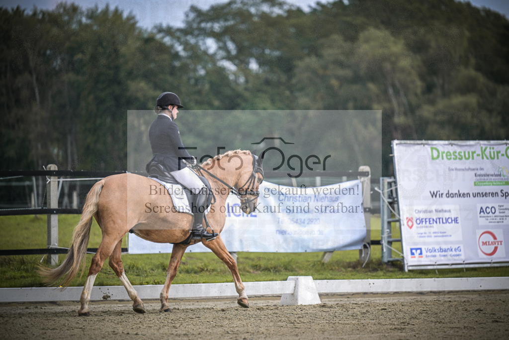 DOS_B524 | Entdecke hochwertige Reitturnierfotos von Foto Oger. Professionell, emotional und authentisch – jetzt Lieblingsmomente im Shop bestellen.Deutschlandweite Turnierfotografie. - Realisiert mit Pictrs.com