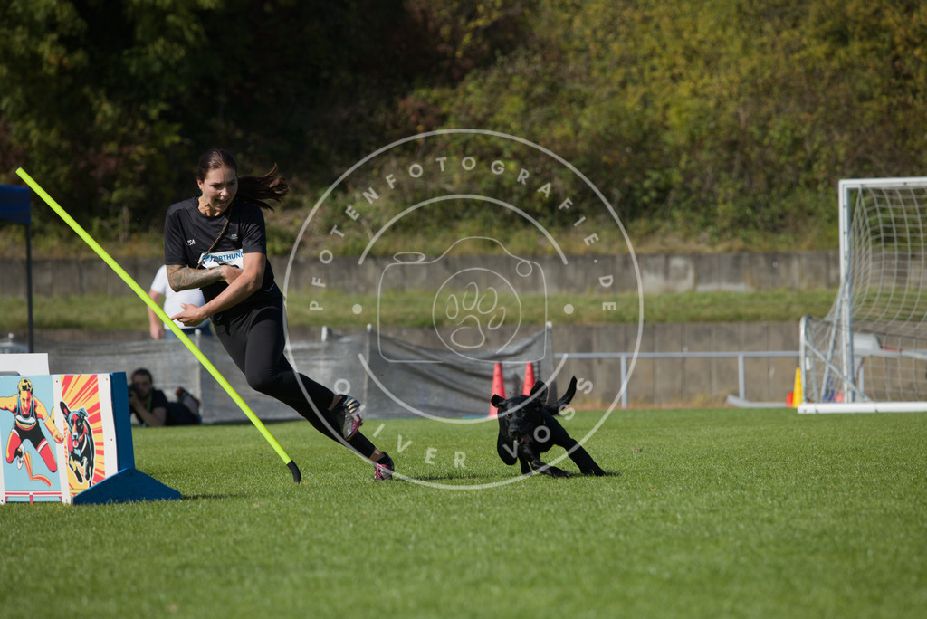 0L8A8281 | Hundefotografie, Tierfotograf, Pfotenfotografie, Fotoshooting Hund, Hunde Portrait, Hundesport, Hundeportraits, Heideshooting, Hunde, Sportfotograf, Hundefotograf, Turnierhundsport, THS,  - Realisiert mit Pictrs.com