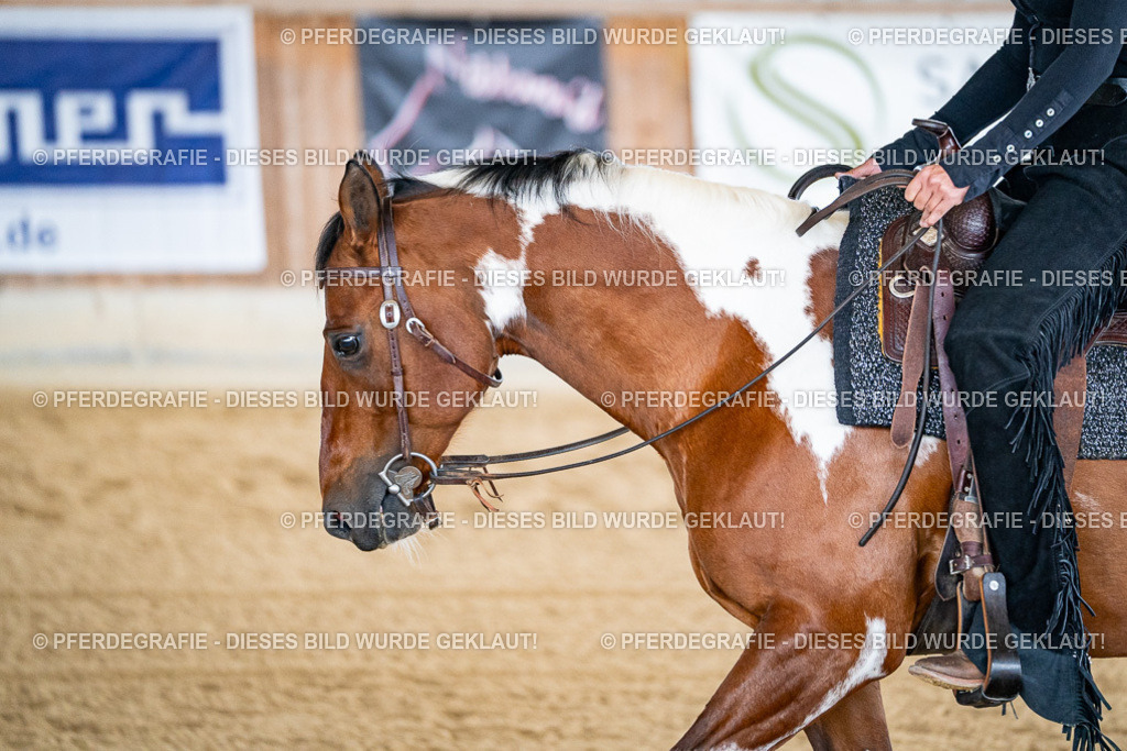 DSC08408 | Pferdegrafie