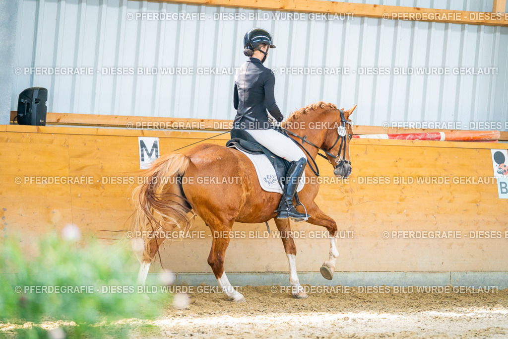 DSC08129 | Pferdegrafie