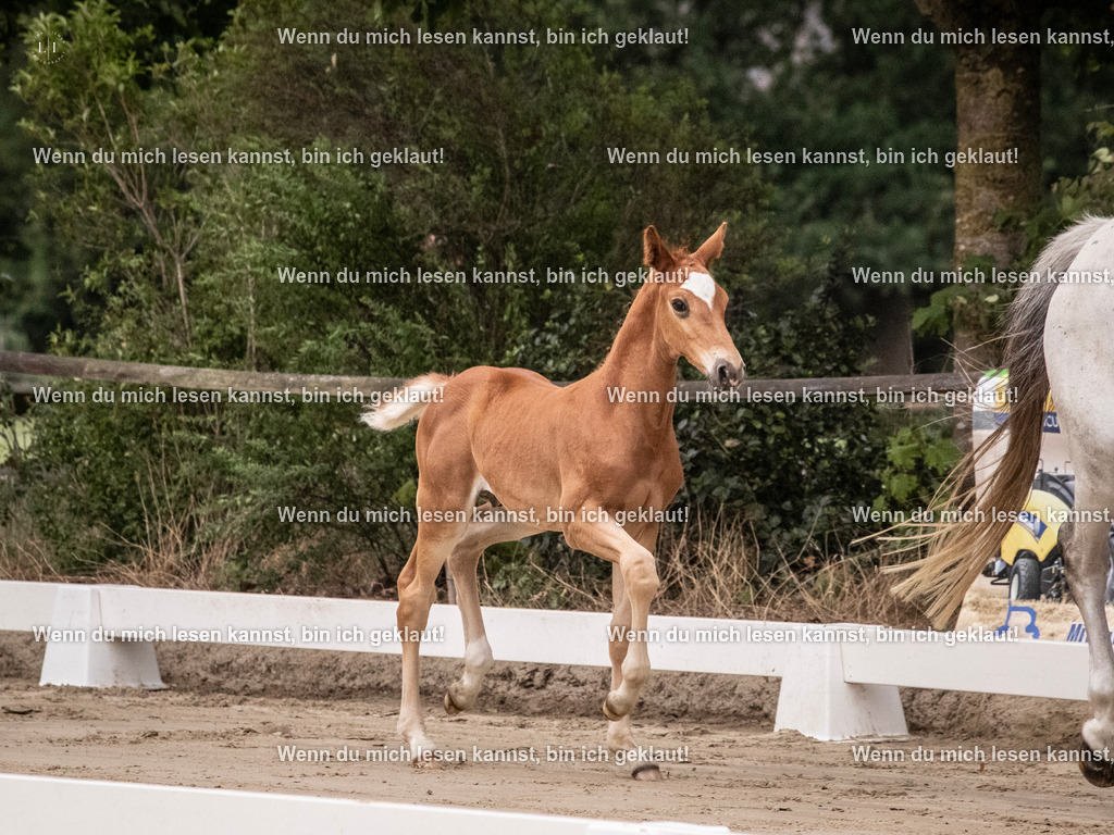 A10I9397 | photographylinaismer - Realisiert mit Pictrs.com