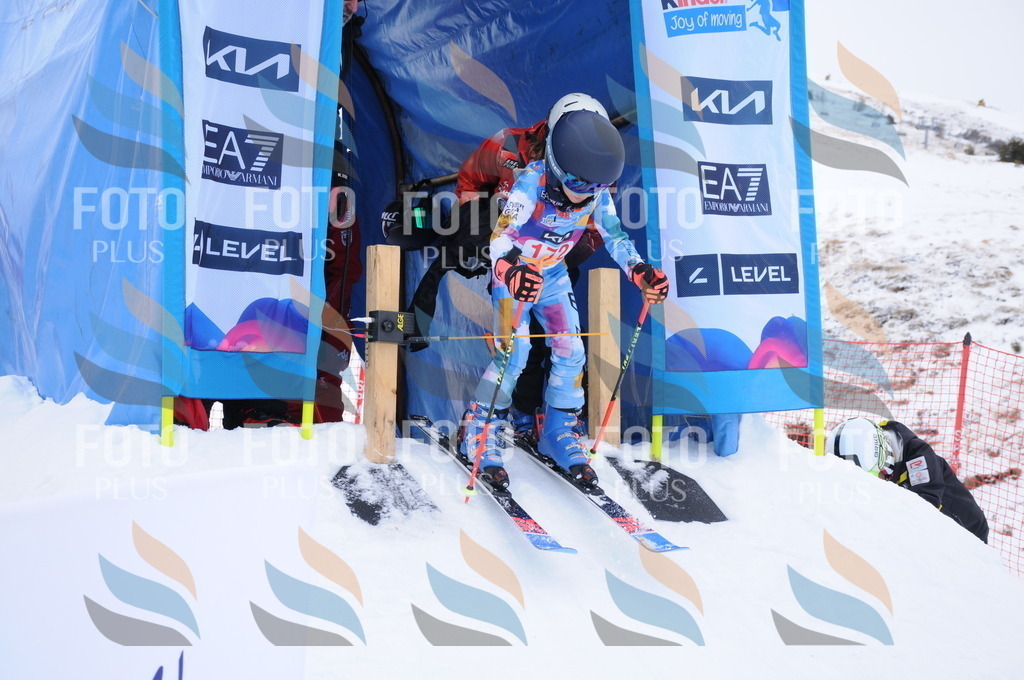 DSC_8949 | holidayphoto