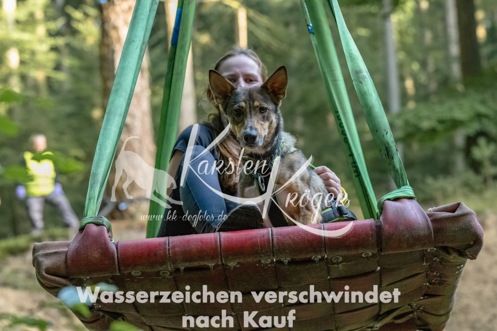 0912_ZZ90602-Bearbeitet | kk-dogfotos