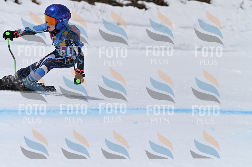 BGV_4264 | holidayphoto