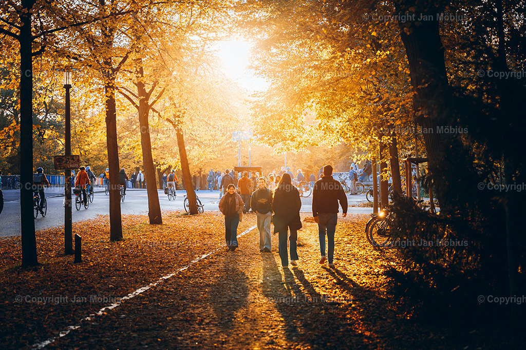 _DSC6995 | Leipzig Wandbilder Drucke Prints Leinwand Stadtmotive Leipzig Fotosdruck Kunstdrucke Bilder Leipzig Stadtansichten Acrylglasbilder Leipzig Wanddeko Fine Art Prints Wandbilder Büro Leipzig Bilder Praxis Zuhause Bilderdruck Poster Posterlounge Kunstdrucke - Realisiert mit Pictrs.com