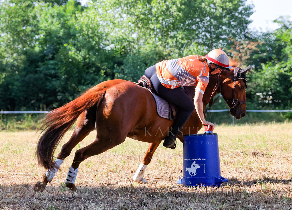 1B3A8175 | Reitsport Reiten