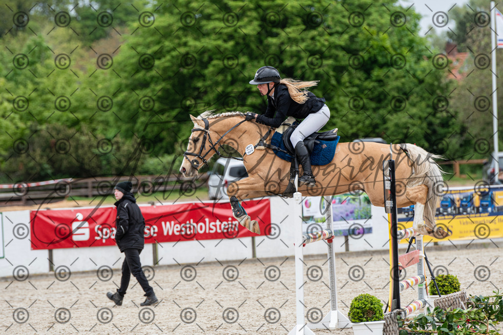 KPT_8361 | andre_photographic