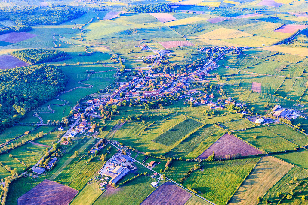 Aerial view: Village overview from the south in Altwiller in the state Bas-Rhin, France. – Photo: IMG_146198.jpg taken on 05/01/2025 by Werner Riehm/FLY-FOTO.com – Resolution of the original: 5472 x 3648 px