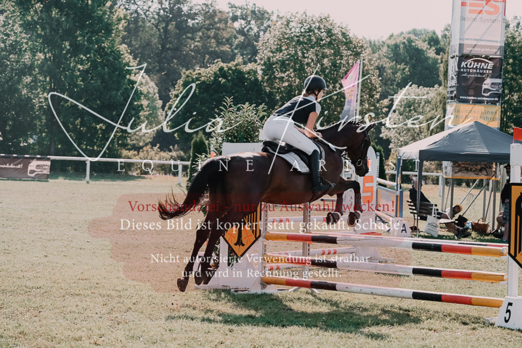 DSC_4776 | Pferde- und Turnierfotografie in Westsachsen. Pferdeportraits, Auftragszeichnungen und intuitive Kunst.