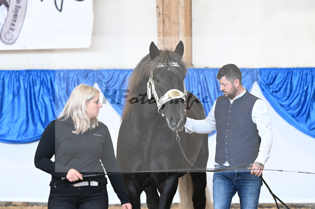 Kat-Nr. 9 Scotch v. Silwan_Wittmann_39250142 | hf-fotografie - Realizzato con Pictrs.com