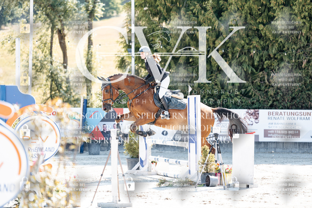 CK905091 | Turnierfotografie Pferdefotografie Trier Rheinland-Pfalz Pferdesport Reitsport Tierfotografie Sportfotografie Pferdevideo Pferdevideografie Equestrianvideography equestrianphotography  - Realisiert mit Pictrs.com