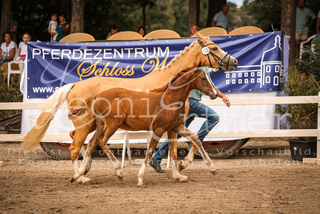 07.So00050 | Leoni Ertmer Photography - Realisiert mit Pictrs.com