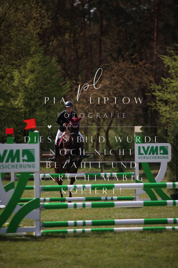 IMGT5290 | pl-fotografie