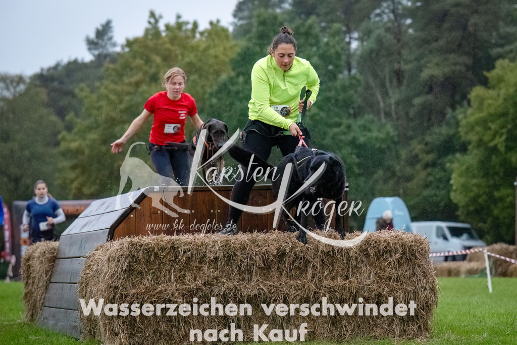 0821-_ZZ91072-Bearbeitet-Bearbeitet | kk-dogfotos