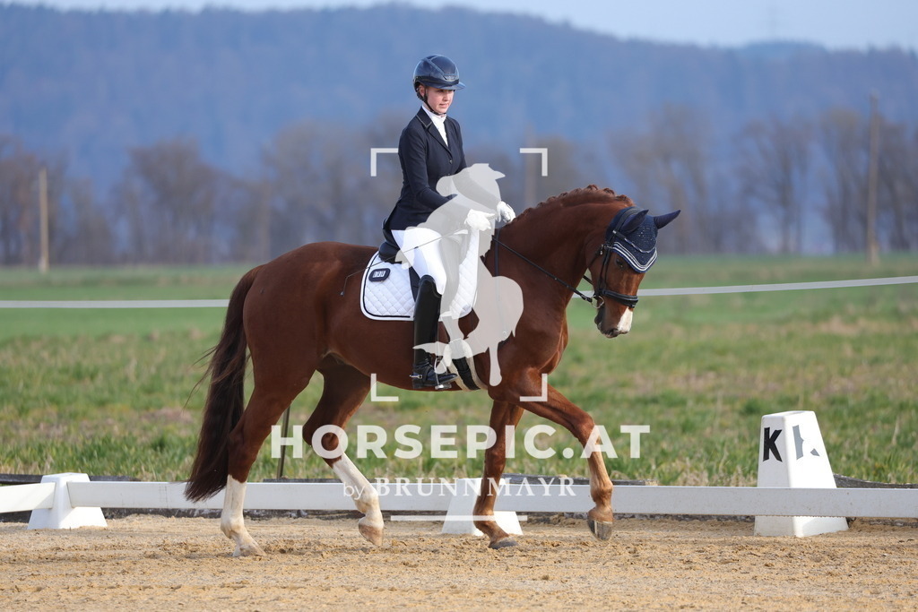 0P6A5927 | Willkommen bei Brunnmayr - Design & Fotografie – Ihrem Spezialisten für Reitturniere und Pferdeveranstaltungen in Oberösterreich, Salzburg und Bayern! Seit über 17 Jahren sind wir leidenschaftlich dabei.