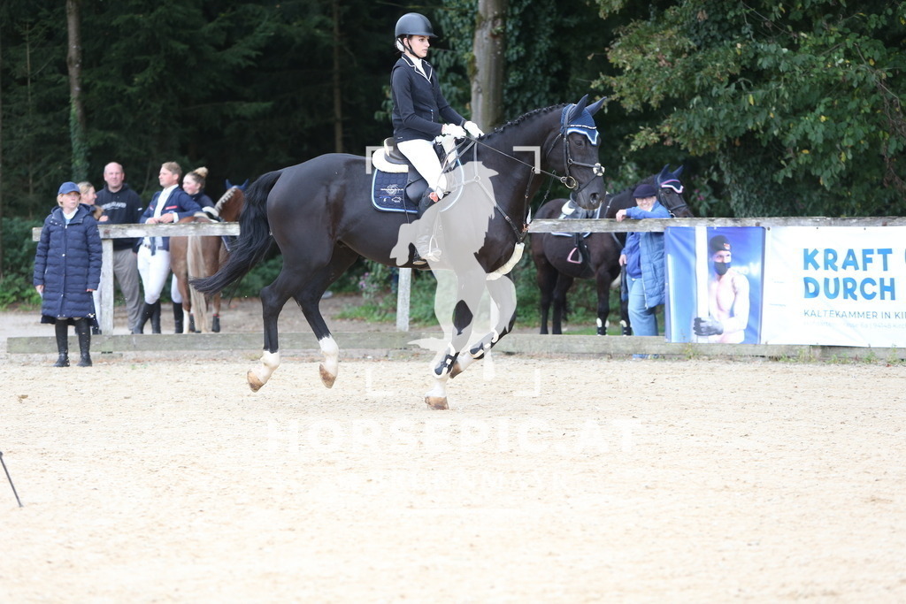 DL2Q2656 | Willkommen bei Brunnmayr - Design & Fotografie – Ihrem Spezialisten für Reitturniere und Pferdeveranstaltungen in Oberösterreich, Salzburg und Bayern! Seit über 17 Jahren sind wir leidenschaftlich dabei.