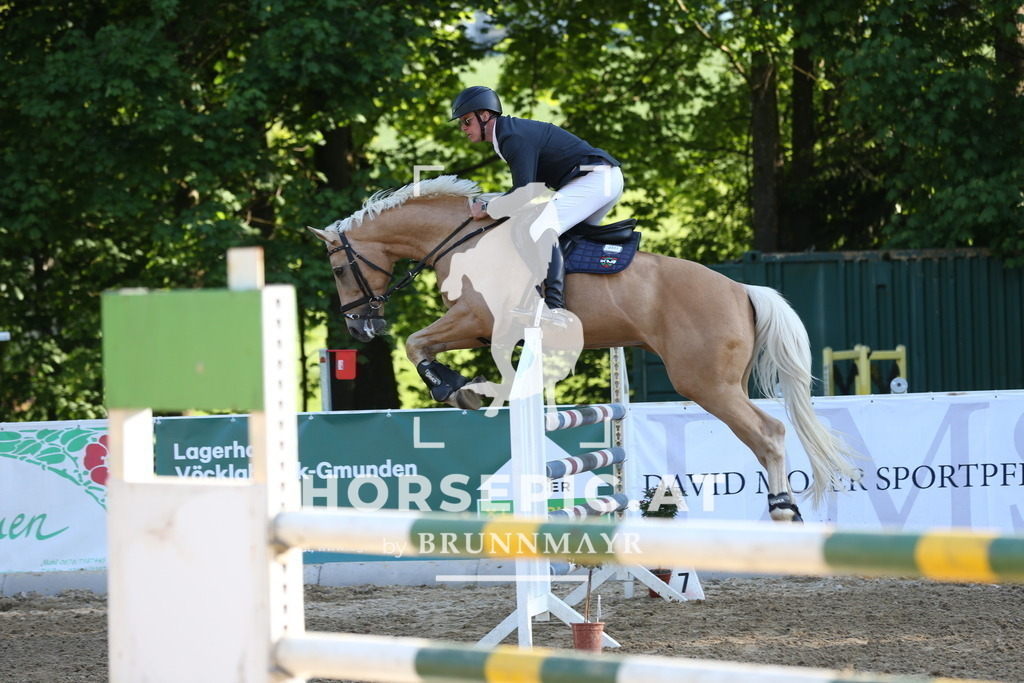 DL2Q2948 | Willkommen bei Brunnmayr - Design & Fotografie – Ihrem Spezialisten für Reitturniere und Pferdeveranstaltungen in Oberösterreich, Salzburg und Bayern! Seit über 17 Jahren sind wir leidenschaftlich dabei.